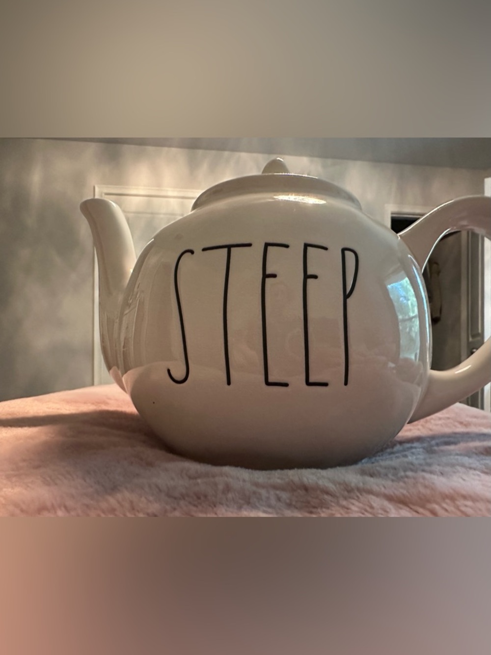 ⬇️ NWOT Rae Dunn White Ceramic 'STEEP' Teapot